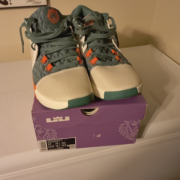 Nike Size 12 men Labron James Miami hurricanes color. New in the box - Picture 8 of 8